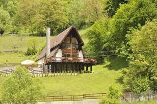 Фото Дома для отпуска Vila Negras г. Trăisteni